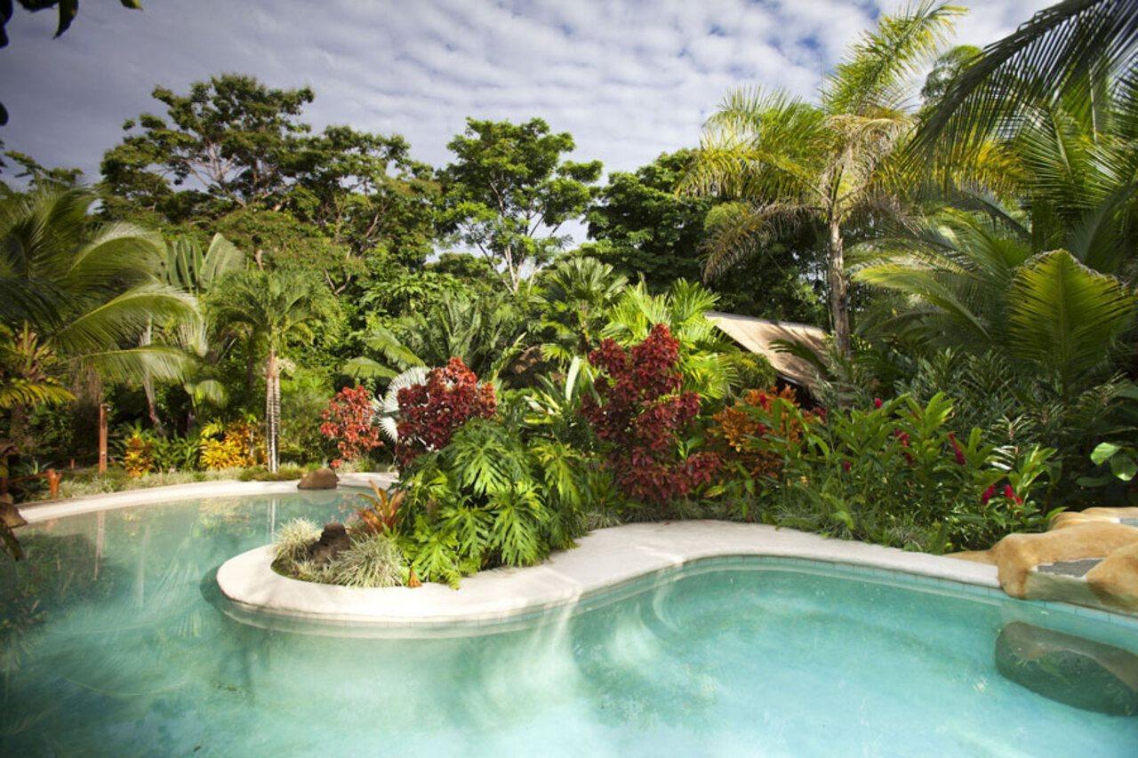 Azania Bungalows Puerto Viejo de Talamanca Εξωτερικό φωτογραφία