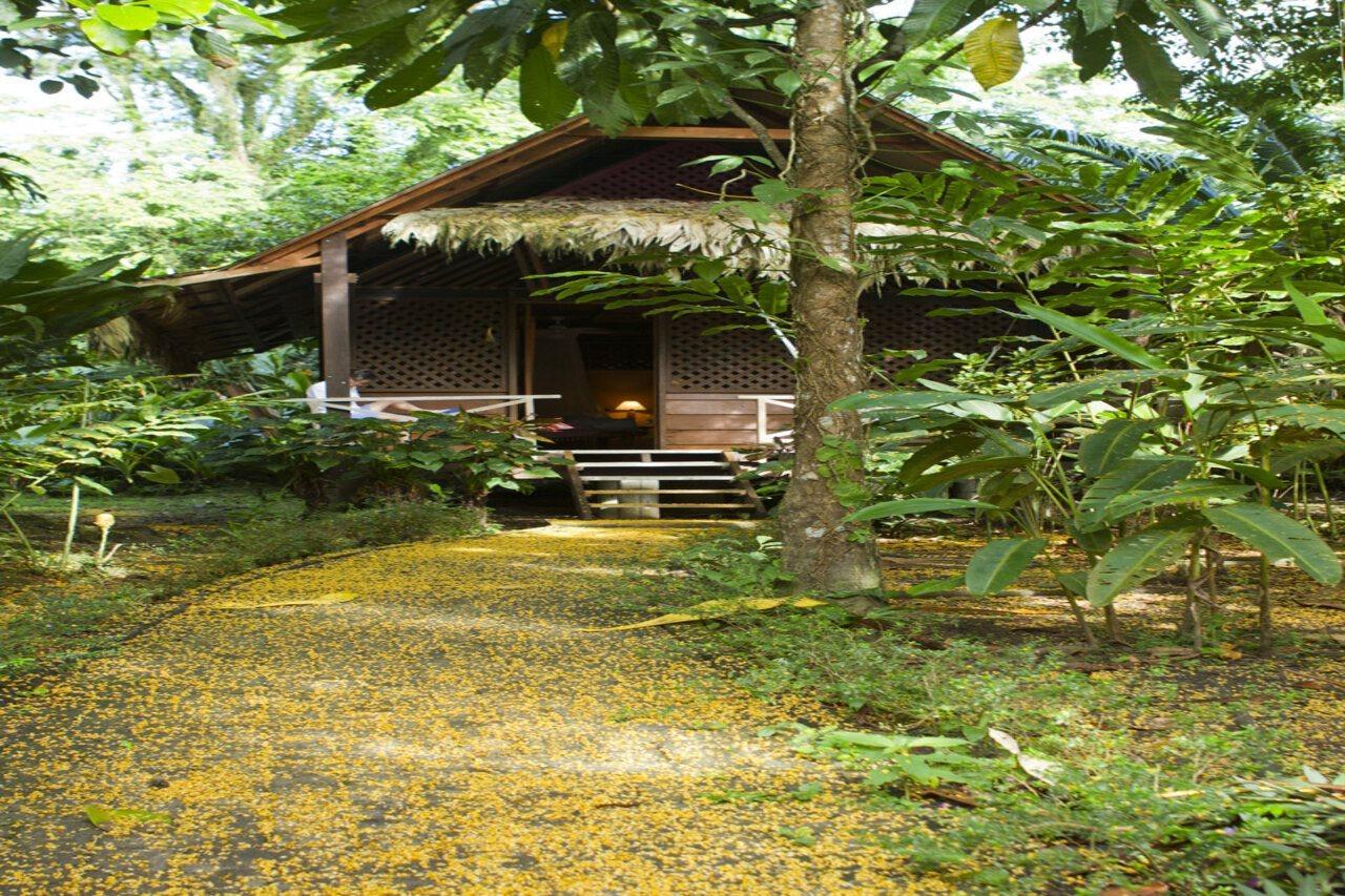 Azania Bungalows Puerto Viejo de Talamanca Εξωτερικό φωτογραφία