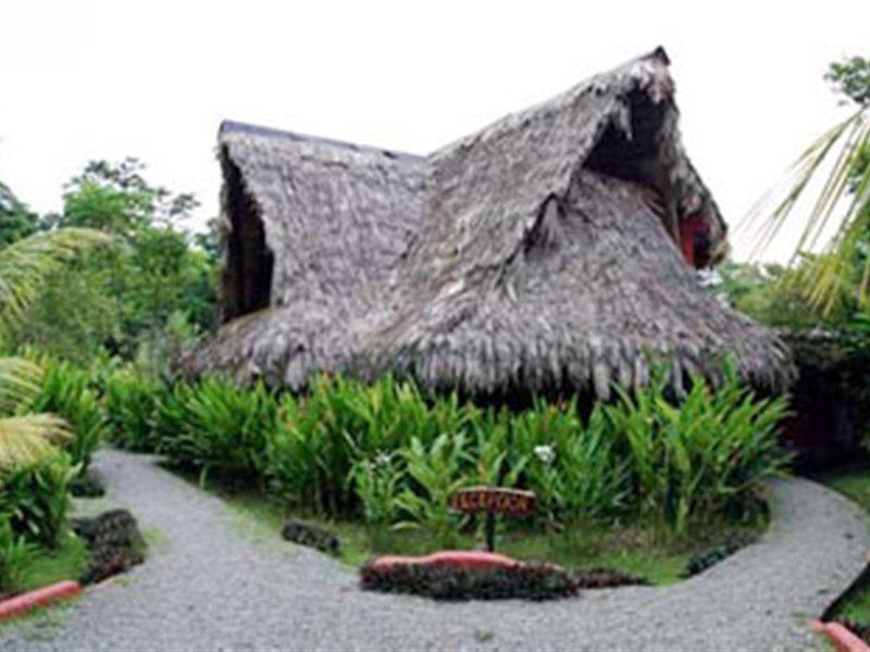 Azania Bungalows Puerto Viejo de Talamanca Εξωτερικό φωτογραφία